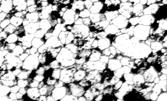 microstructure of sintered magnets in Fig.