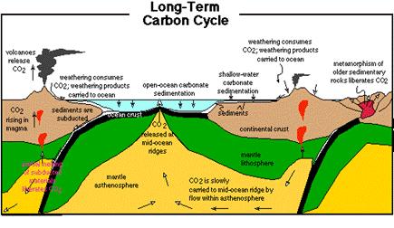 rate at which fossil carbon is