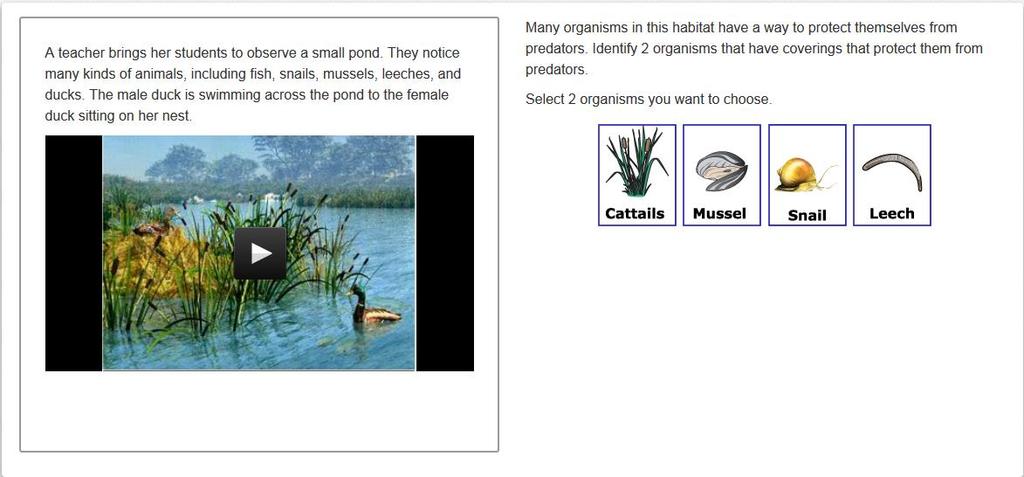 Scenario: Pond History Question 7 Benchmark: 3.4.1.1.1 DOK: 1 Compare how the different structures of plants and animals serve various functions of growth, survival and reproduction.