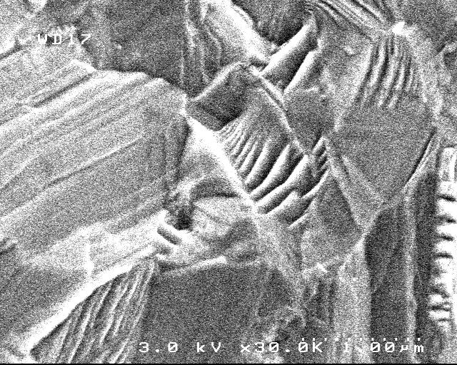 SiC MICROSTRUCTURE SEM fractography