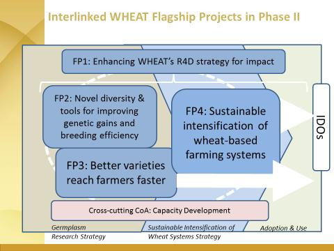 Figure 5. WHEAT research strategies matched to FPs.