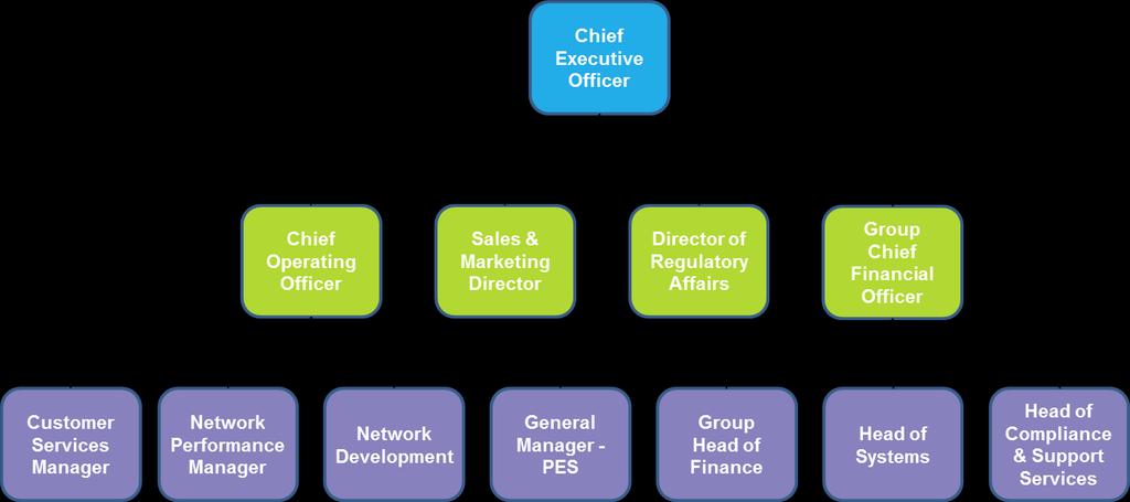 6.2.5 Organisation The Group Chief Executive Officer has overall responsibility for health and safety management.