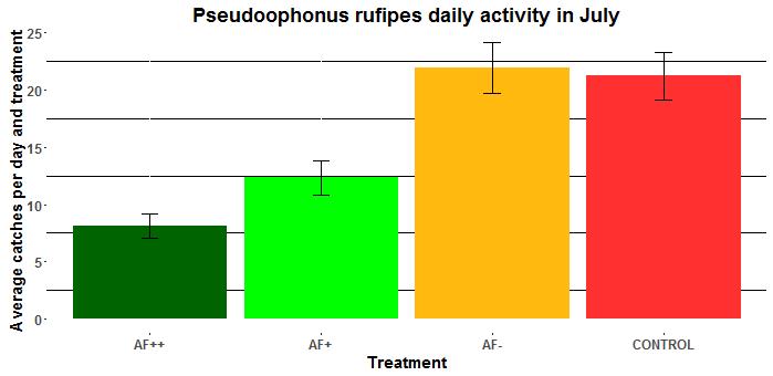 Results Pseudoophonus rufipes daily abundance in July a b c c Similar abundance in AF- and control, less individuals in