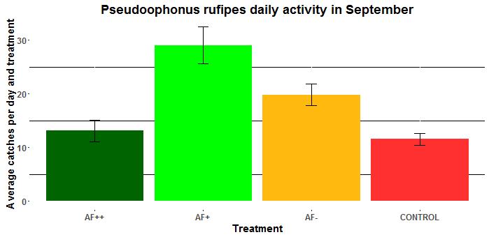 Results Pseudoophonus rufipes daily abundance in September a b bc a a