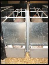 The doors need to be cut correctly and hung correctly so that they hang flush to the sides and the floor (minimal clearance distance) to prevent drafts and any escapee piglets.