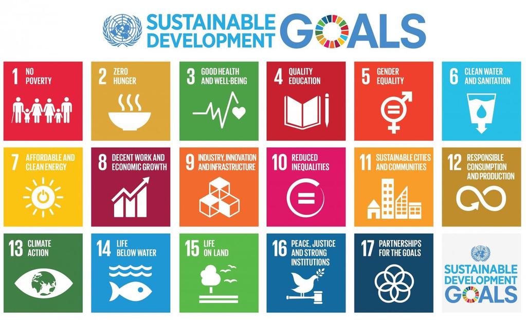 What are the Sustainable Development Goals? In 2015, countries adopted the 2030 Agenda for Sustainable Development and its 17 Sustainable Development Goals.