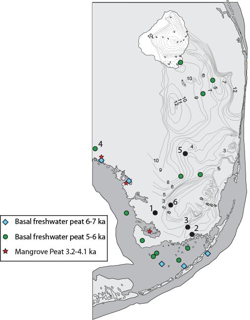 What is the history of Sea Level Rise for South Florida? Years BP 6-7000 Freshwater peats began forming on FL platform underlying FL Bay Sea Level was ~6.