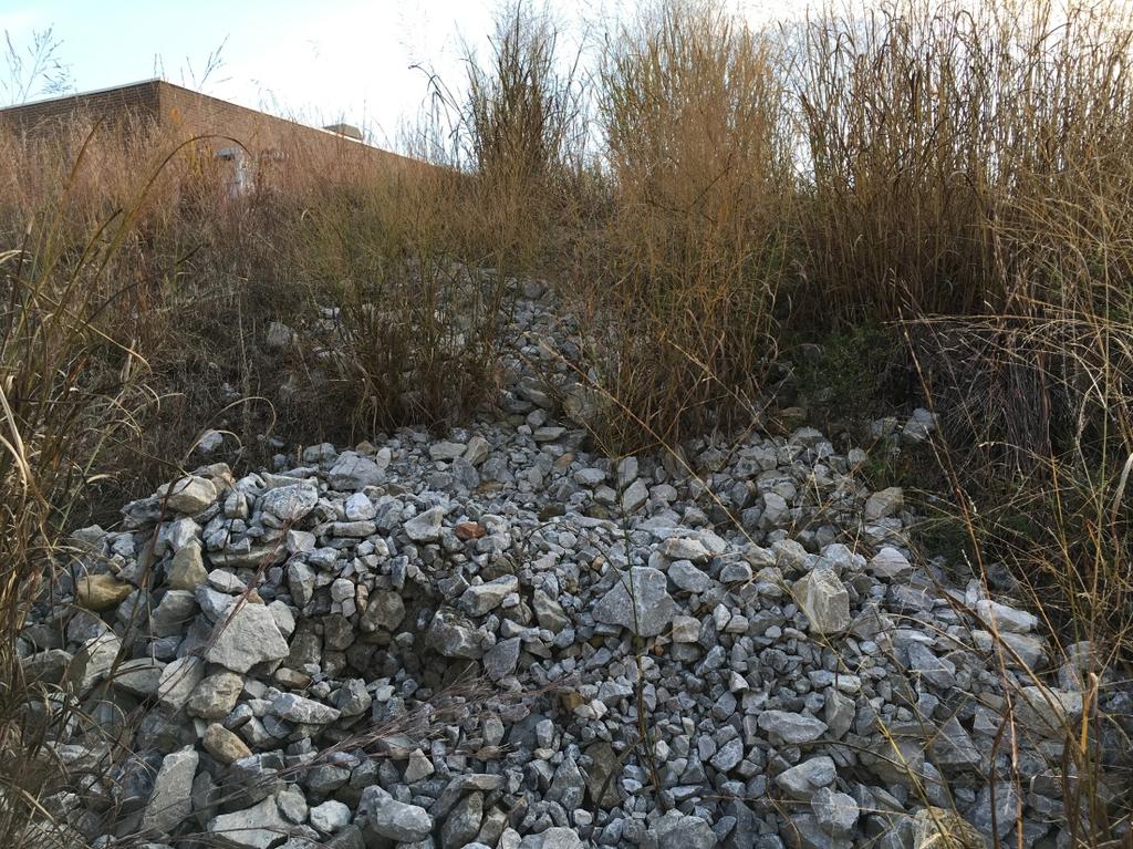 Photograph B-2: Rock dumped on north embankment note proximity to the