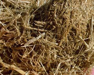 26 Migration to Cellulosic Butanol Crop Residues