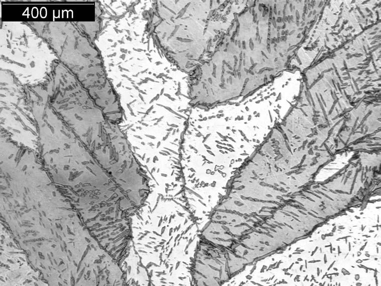 Figure 18 Optical Micrograph of Specimen