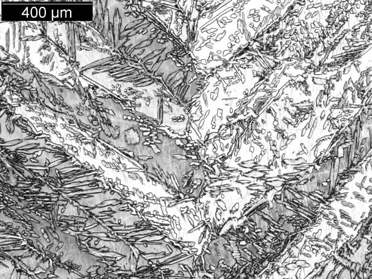 Grain Figure 19 Optical Micrograph of