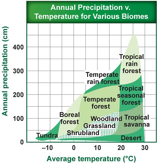 Effects of Latitude and Climate Climate The average weather conditions in an area, including temperature and precipitation, describe an area