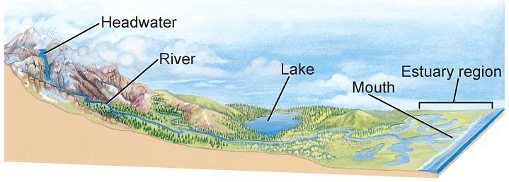 3.3 Aquatic Ecosystems Rivers and Streams The characteristics of