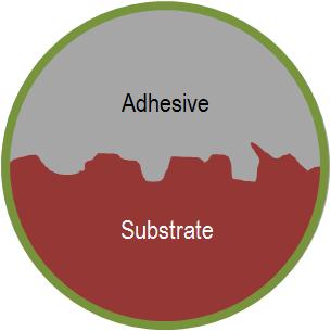 Adhesion There are several possible surface interactions that can create