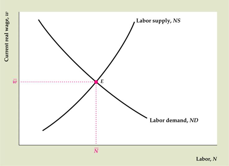 Equilibrium in the labor market occurs at a real