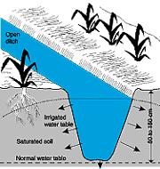 Subsurface Irrigation Also call subirrigation Artificial regulation of groundwater table elevation Can be used where water table is naturally shallow or