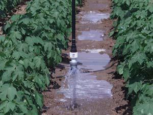 Sprinkler Irrigation (LEPA) Applicators are