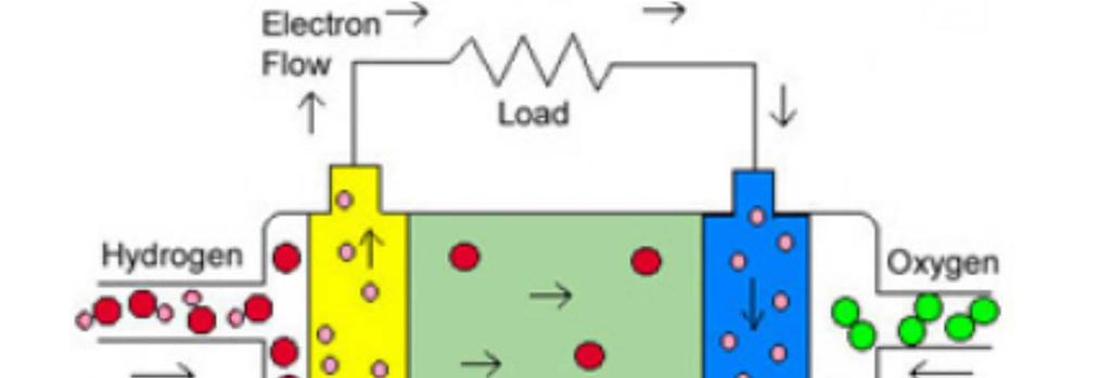 Proton Conducting Fuel Cell Principle electrolyte ( membrane ) properties: - gas