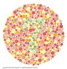 totally color-blind person will not be able to see the number 7.