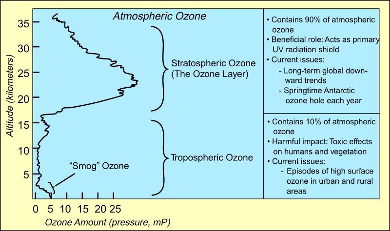 Ozone in