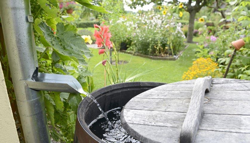 OUTSIDE Your Home Install a Rain Barrel Hook up a rain barrel to your downspout.