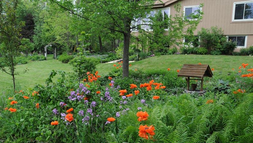 OUTSIDE Your Home Plant More Trees Tired of a yard dominated by lawn? Consider adding trees and native landscaping.