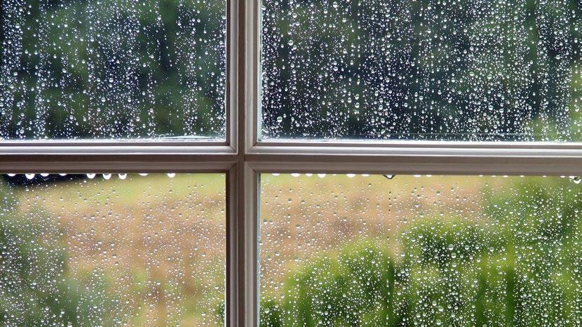 Protecting your home and family from heavy rain starts with