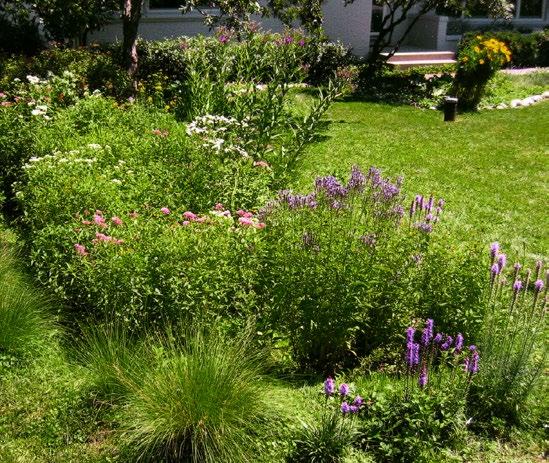 OUTSIDE Your Home Install a Rain Garden Install a rain garden to