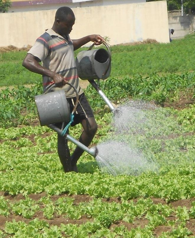 The Irrigation Initiative in the Sahel How to do better, more and quickly?