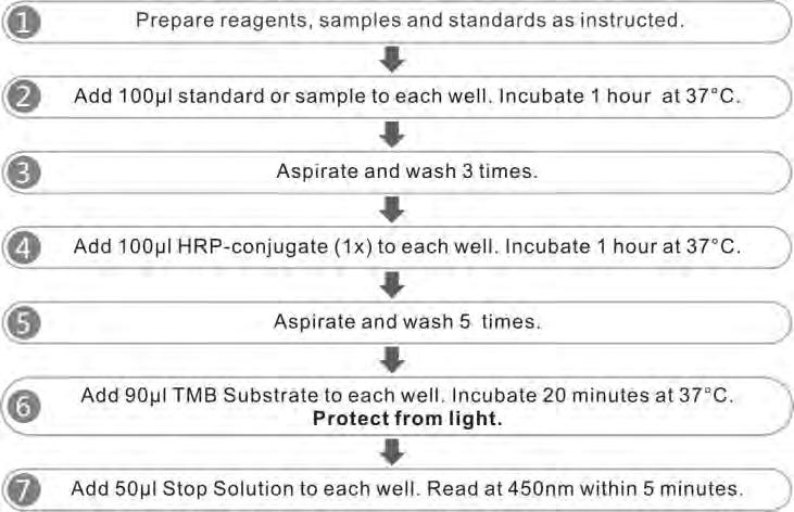 ASSAY PROCEDURE SUMMARY *Samples may require