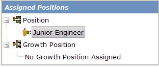 In Example A, you can see that the Junior Engineer Position was selected; therefore, this Position