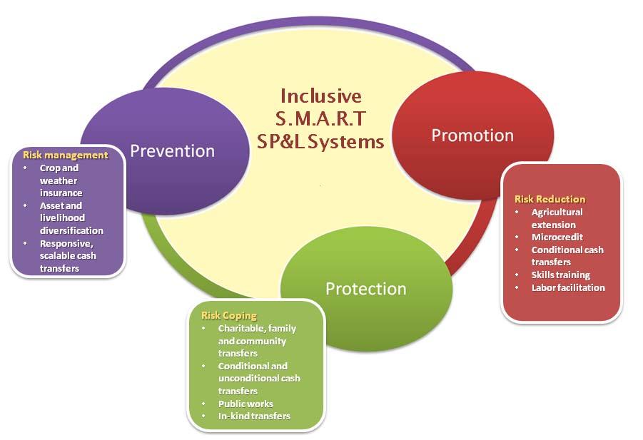 functions: prevention, protection, and promotion (World Bank 2010c).