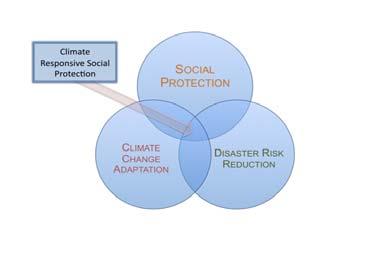 households are affected by and respond to climate change and variability, and often channel external adaptation interventions.