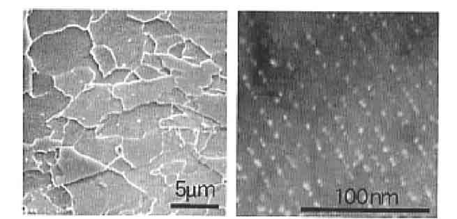 (a) (b) 5 Holding temperature: 923 K NANOHITEN 5 µm 1 nm Photo 1 Microstructure(a) and precipitates(b) of NANO- HITEN Baker-Nutting relationship with the matrix, in the same manner as TiC.