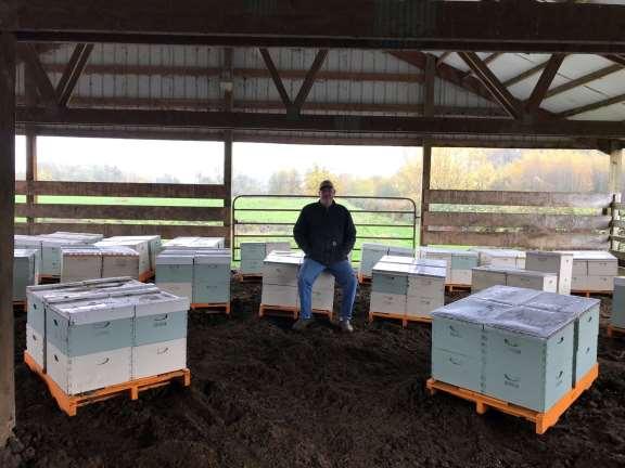 Here are 100 of my hives out in the barn They will
