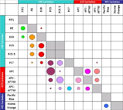 other channels (clean column) Classification is specific for each combination of antibodies and