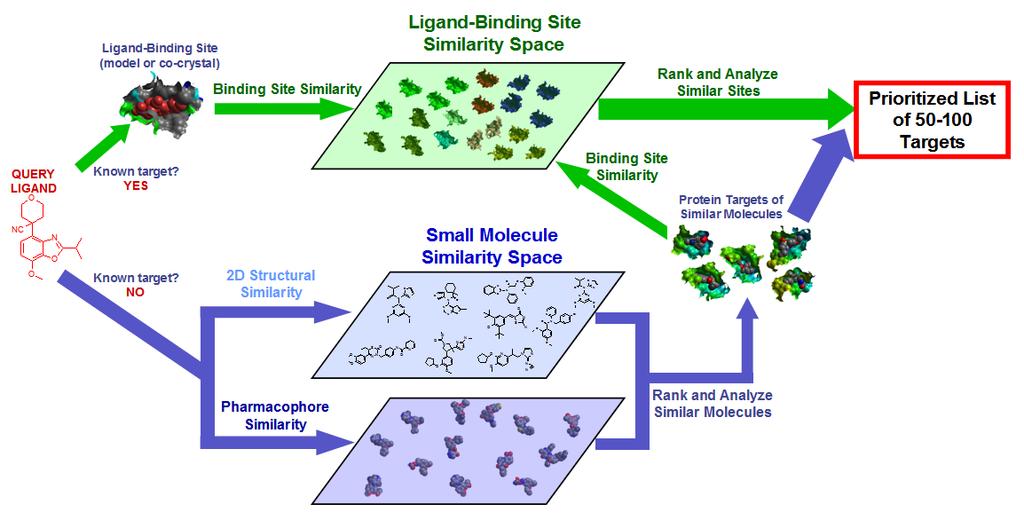 DirectDesign Discovery Services, continued Virtual Target Screening (Target Fishing ) Collaborations The broad view into both target similarity and 2D/3D ligand similarity provided by