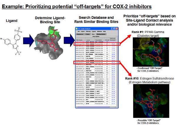 These Virtual Target Screening or Target Fishing collaborations utilize both target-based and ligand-based in silico predictions and comparisons to prioritize a set of potential primary and/or