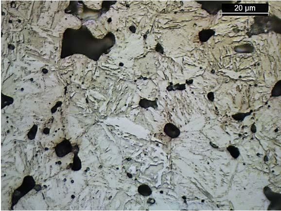 Figure 6. The material exhibited a martensitic microstructure.