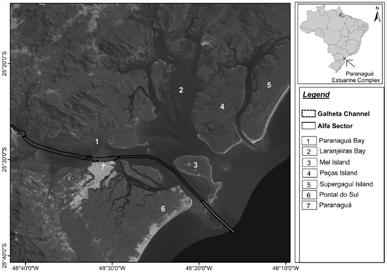 PIANC COPEDEC IX - 2016 From 16 to 21 of October Port Engineering Influence of the navigation channel geometry on silting of Paranagua Port (Paraná, Brazil). SOARES, P. H.; GALLO, M. N.; RANGEL, B. D.