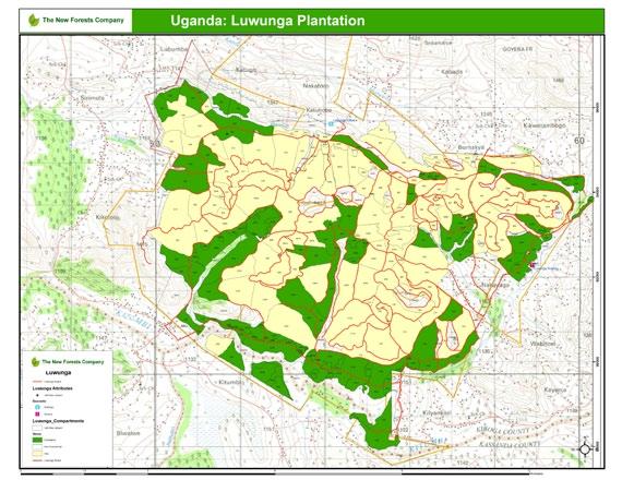 Nyungwe Buffer Zone, Rwanda New Forests recognizes that as a business dependent on land, it has a vested interest in ensuring that the areas in which it works, and the land its neighbors rely on for