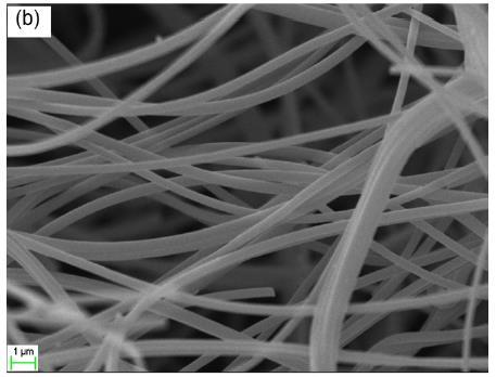 nanofiber membrane (Ghasemi et al.