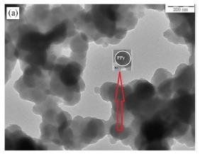 PANI nanoparticle based anode  2013a)