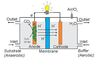 MICROBIAL FUEL CELL VERSUS MICROBIAL ELECTROLYSIS CELL MFC MEC Anode: CH 3 COOH + 2H 2 O 2CO 2 + 8e - + 8H + Cathode: 2O 2 + 8e - + 8H +