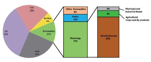 WORLD BIOENERGY Share of bioenergy in the world