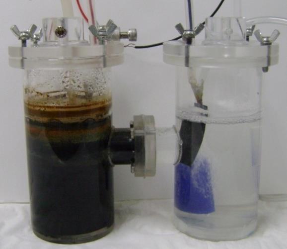 MICROBIAL FUEL CELL DESIGN &