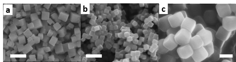 SEM image of the NaCl crystals prepared by adding aqueous NaCl to 2-propanol.
