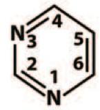 molecule 1 nitrogenous aromatic base (aka nucleobase), chemically
