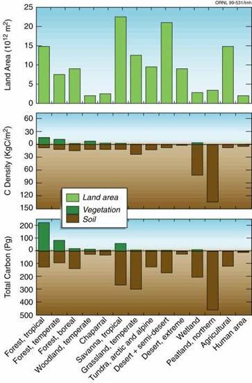 Peatland ecosystems (including peat and vegetation) contain disproportionally more organic carbon than other terrestrial ecosystems on mineral soils: in the