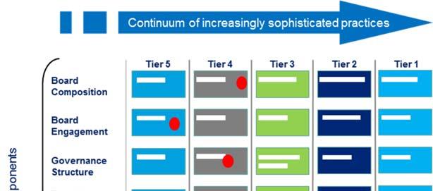 In-depth assessment tools Deloitte Tier Structure Model (TSM) We use a Tier Structure Model, which sets out a continuum of increasingly sophisticated practices, ranging from poor practice (Tier 5) to